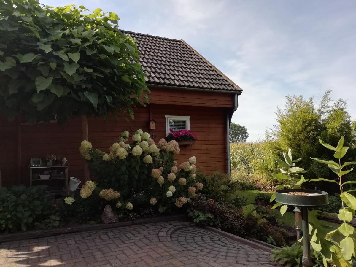 فيلا Woodstock B+B Drouwenermond المظهر الخارجي الصورة